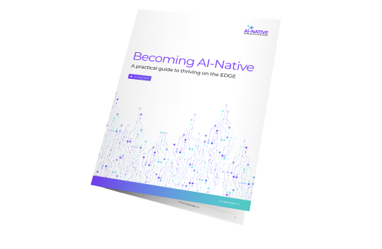 Enterprise AI Playbook